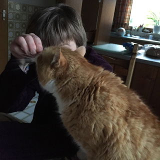 Abendessen mit Kater......