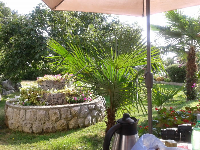 frühstücken im wunderschönen garten der villa iris