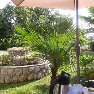 frühstücken im wunder...