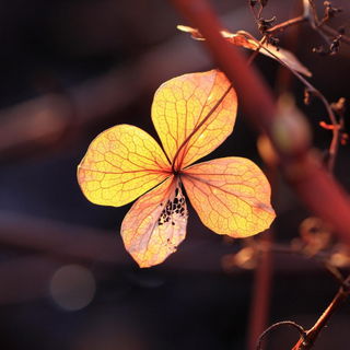 Oktober 2012 - ein sonn...