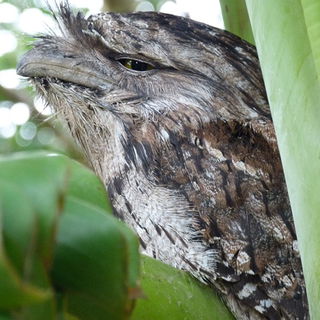 Och nööö...hab' kein...