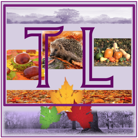 Herbst Toodle 2016