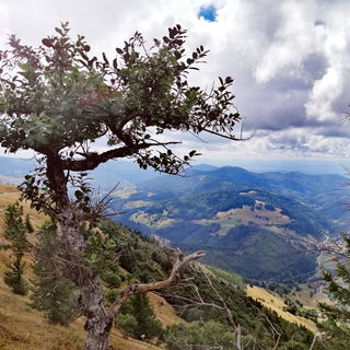 Blick vom Belchen 2022...