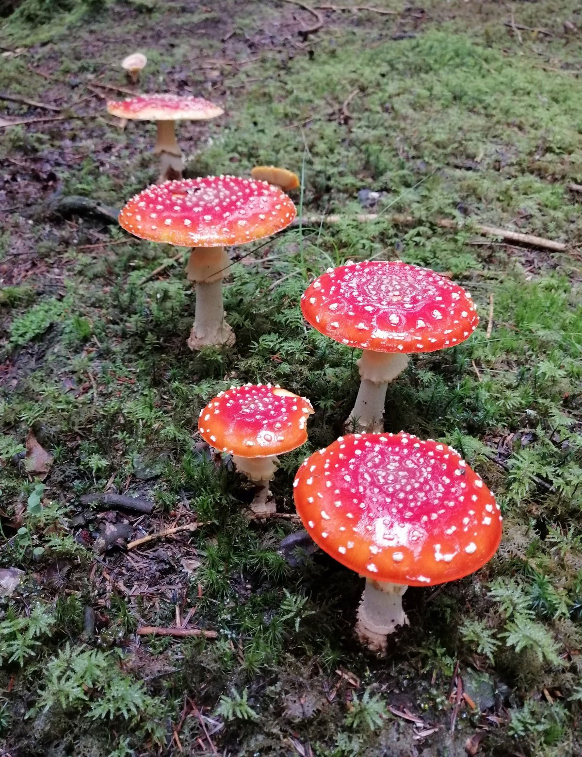 Frisch lackiert... September 2022