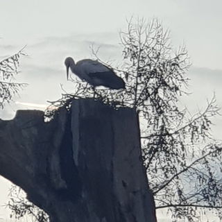 ...von der anderen Seit...