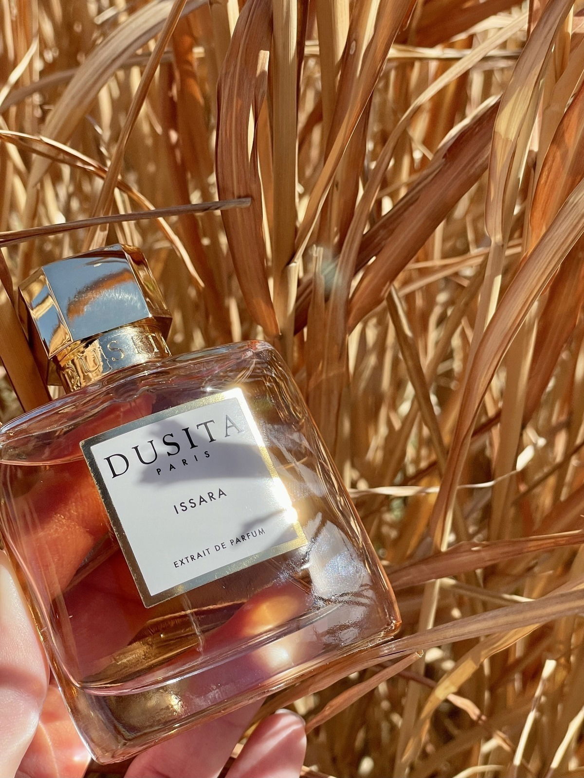 Fields of Gold