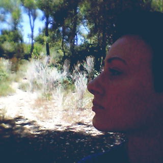 Umgeben von Pinienbäum...