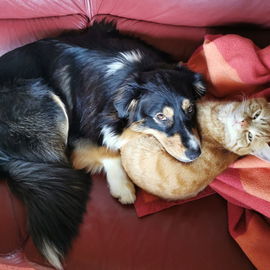 Dann muss die Mama scho...
