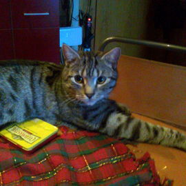 23.12.2012 Toni, er kan...
