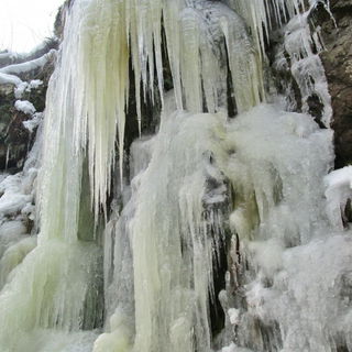 Ein Wunderwerk der Natu...