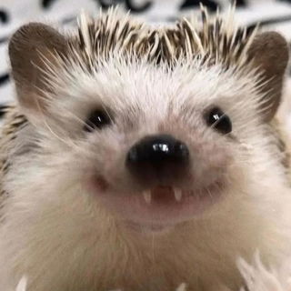 Isse nicht zuckersüss?...