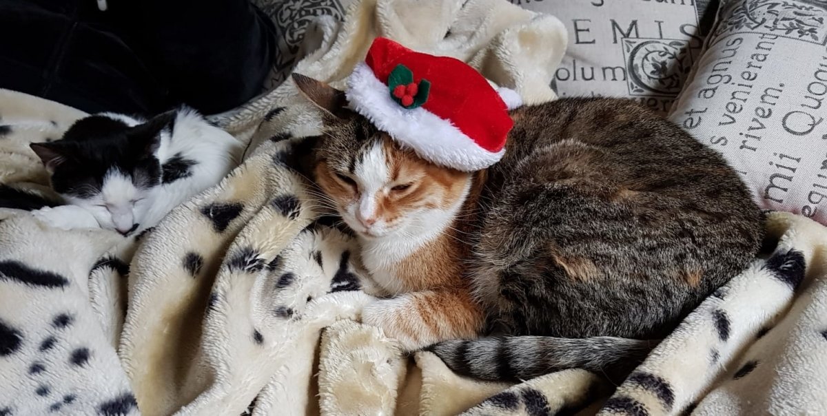 Isella spielt heute Weihnachtsfrau