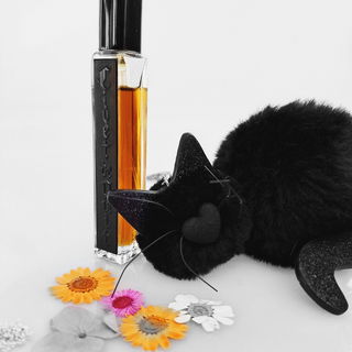 Civet de Nuit | Areej L...