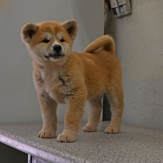 Da war meine Süße noc...