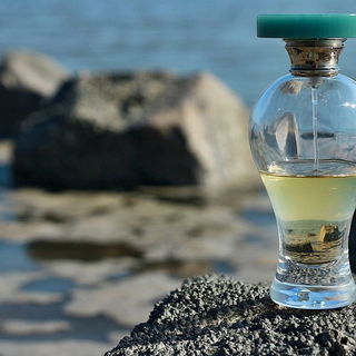 Black Jade am Jadebusen...