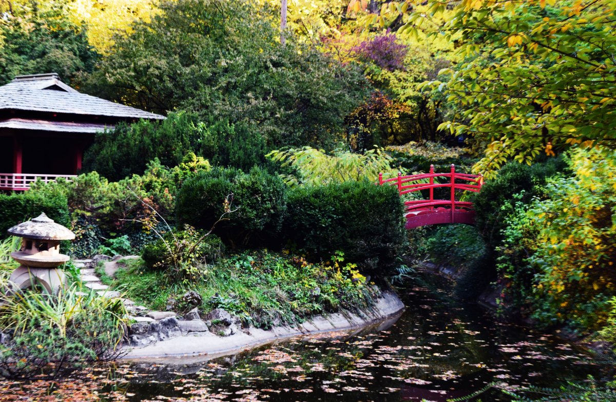 From a wonderful place (Japanese Garden)