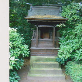 ....zum Tempel
