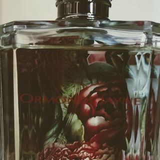 Taif - Ormonde Jayne