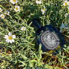 Diptyque Vetyverio Eau ...
