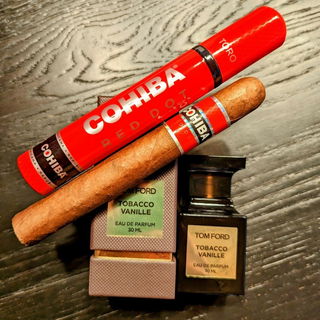 Tobacco Vanille in sein...