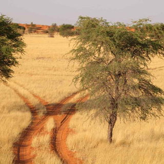 The Roads to Nowhere......