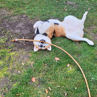 Der Schlauch war danach...