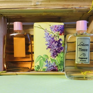 Fragonard „Mimosa“ ...