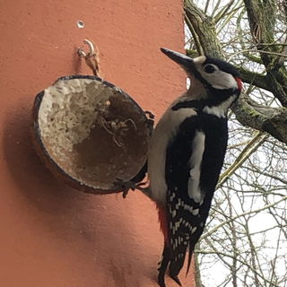 Da isser wieder, der kl...