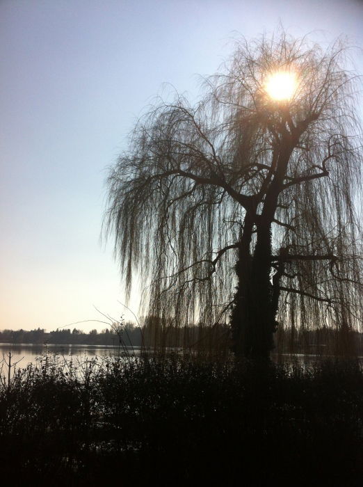 Am See: Avalon