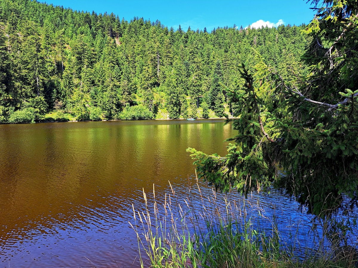 Wunderschöner Mummelsee