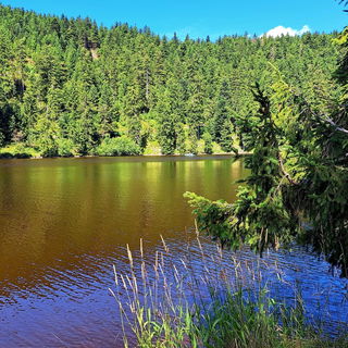 Wunderschöner Mummelse...