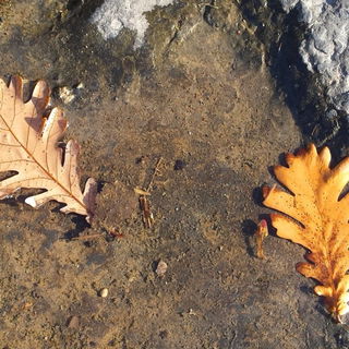 Do You come here often....