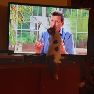 Der Typ iss doof, aber ...