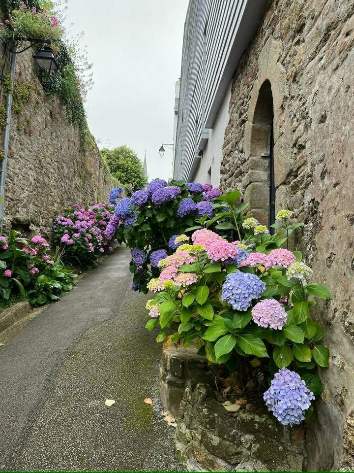 Auray - la rue Saint Sauveur