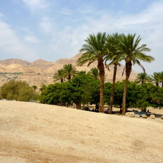 Landschaft bei Ein Gedi...
