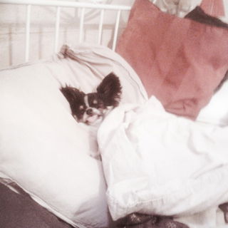 Mein schlafendes Baby.....