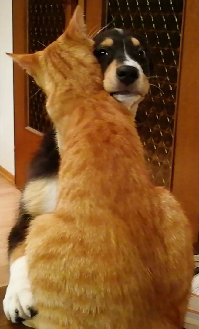 Sam und Luna