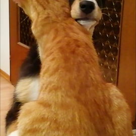Sam und Luna