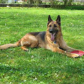 Gina, die Chefin der Sc...