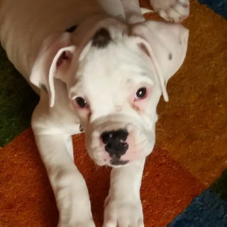 War nur ein bisschen Pi...