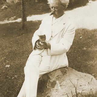 A home without a cat, a...