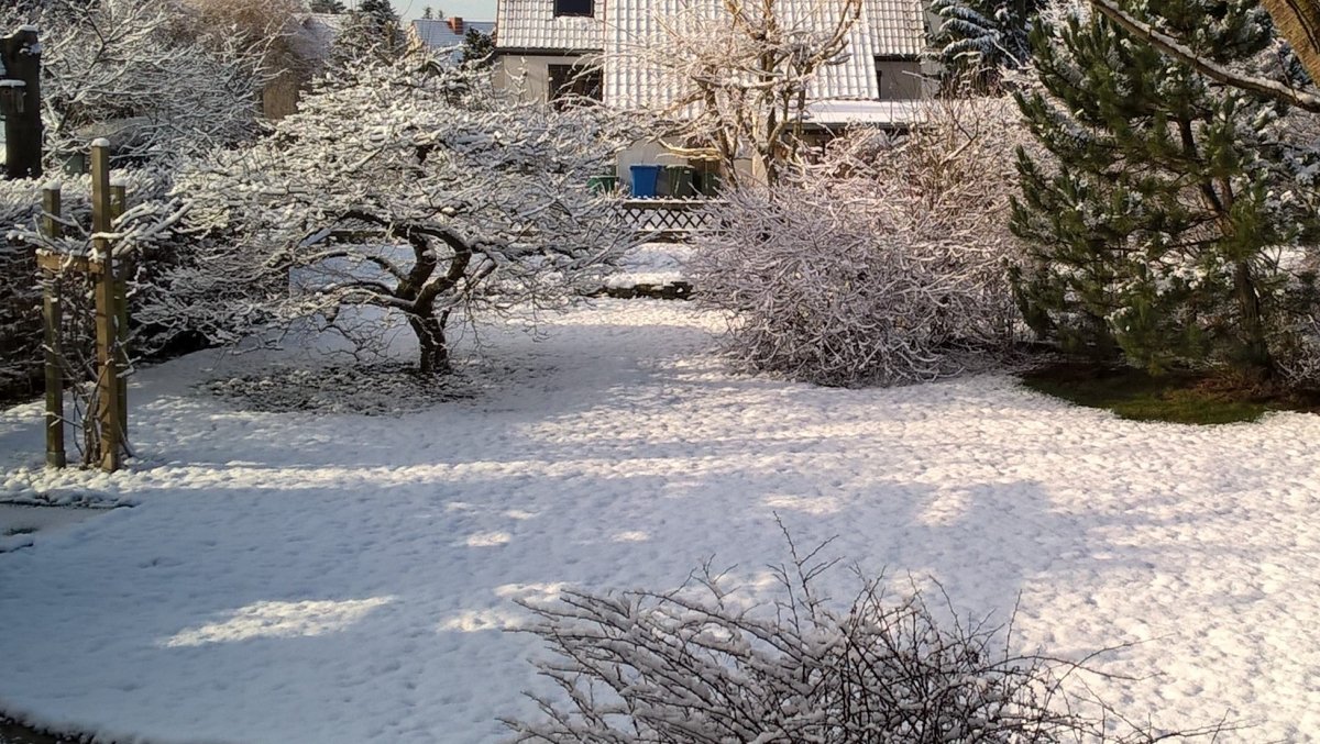 4.2.2018, ca.10.00 Uhr - Sonntagmorgen; die Sonne lacht; endlich ist der Winter da! :-))