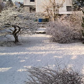 4.2.2018, ca.10.00 Uhr ...