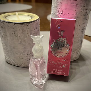 Anna Sui Secret Wish, M...