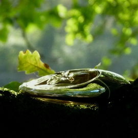 Abgelehntes Bild