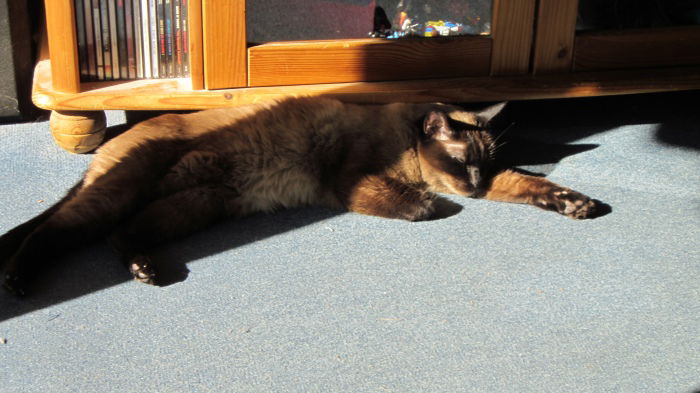 Endlich Sonne!!!