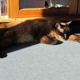 Endlich Sonne!!!