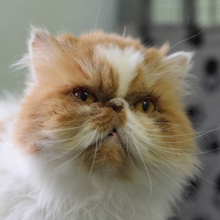 Für mich, na logo, die...