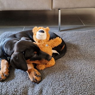 Ruhepause und Zeit für...