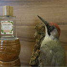 Woody & Woodpecker ...